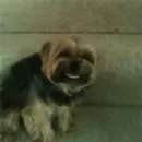 Стикер Derp Zone 🐾