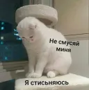 Стикер Cats