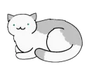 Cats cats cats