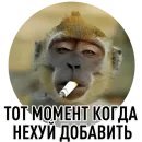 Стикер Memes