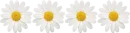 Стикер Divisores (20ePoucosAnos)
