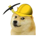 Стикер DogCoin