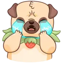 Стикер Падди без текста