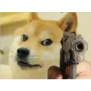 Doge(Ⲁⲡⲁⲛⲟⲅⲃ)