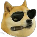 Стикер Doge(Ⲁⲡⲁⲛⲟⲅⲃ)