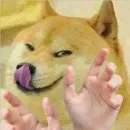 Стикер Doge(Ⲁⲡⲁⲛⲟⲅⲃ)