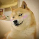 Стикер Doge Edits 3