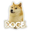 Doge