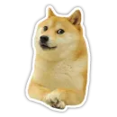 Стикер Doge