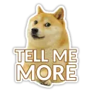Стикер Doge