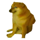Стикер Doge