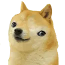 Стикер Doge