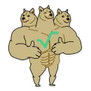 Doge³