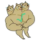 Стикер Doge³