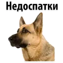 Стикер ?Собачий Слэнг