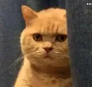 Donya’s mood as fuck