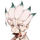 Dr. Stone