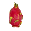 Dragon fruit