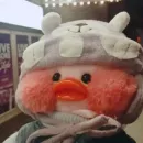 Стикер Ducky Dolly