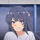 Стикер Этот глупый свин