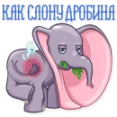 Стикер Дамбо на все случаи жизни