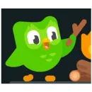 Стикер Duolingo