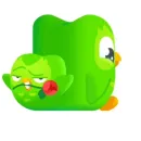 Стикер Duolingo