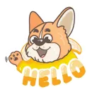 Dustin_dog