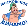 Стикер Динамовец