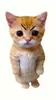 Стикер El Gato