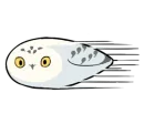 Energetic Snowy Owls