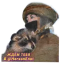 Стикер Enot_iz_Hersona