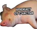 Стикер Esche