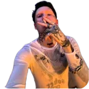 Стикер Вайперрюги