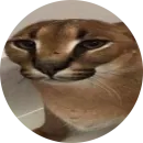 Стикер Fake Circle