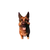 Стикер Fallout 4