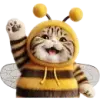 Котик БиБи