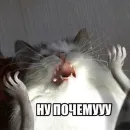Стикер Fave Stickers