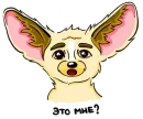 Фенёк