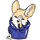 Стикер Фенёк