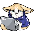 Стикер Фенёк