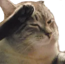 Стикер Press F