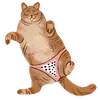 Котомемы от FILKIT