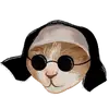 Стикер Котомемы от FILKIT