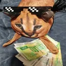 Стикер Floppa BLOPTOP