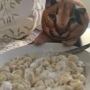 Стикер Floppa BLOPTOP