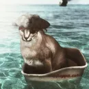 Стикер Floppa