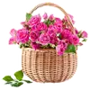 Flowers for Lovely Girl