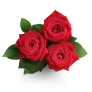 Стикер Flowersui