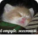 Стикер FockingLife